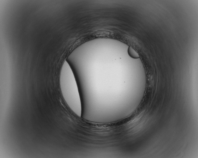X0000087310753200704200718