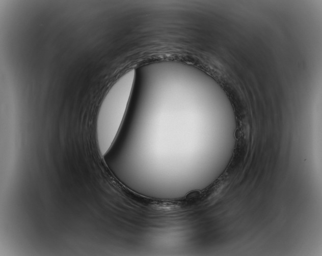 X0000087310754200704200718