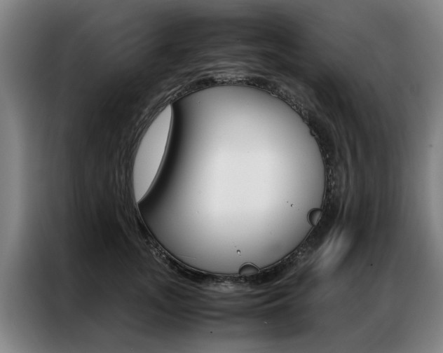 X0000087310755200704200718