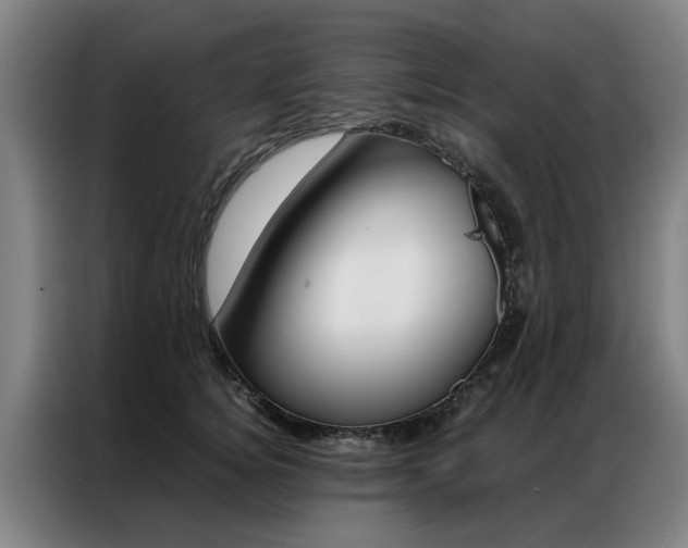 X0000087310756200704200718