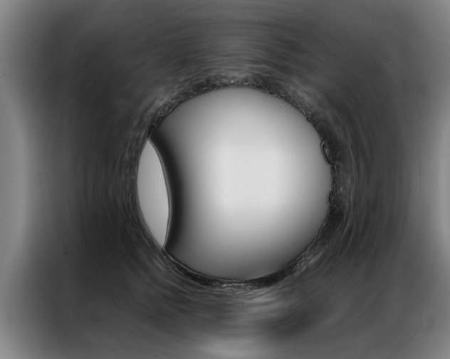 X0000087310758200704200718