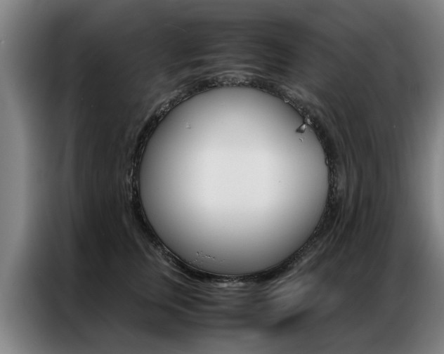 X0000087310759200704200718