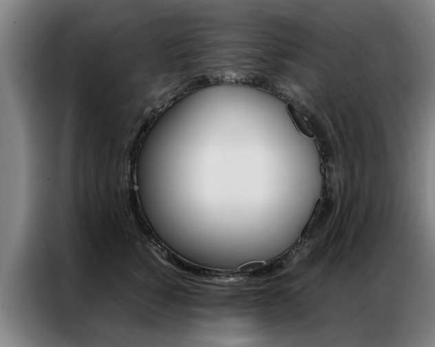 X0000087310760200704200718
