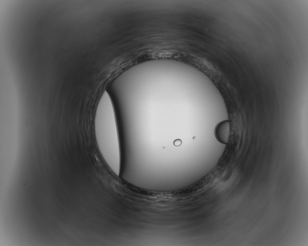 X0000087310761200704200718