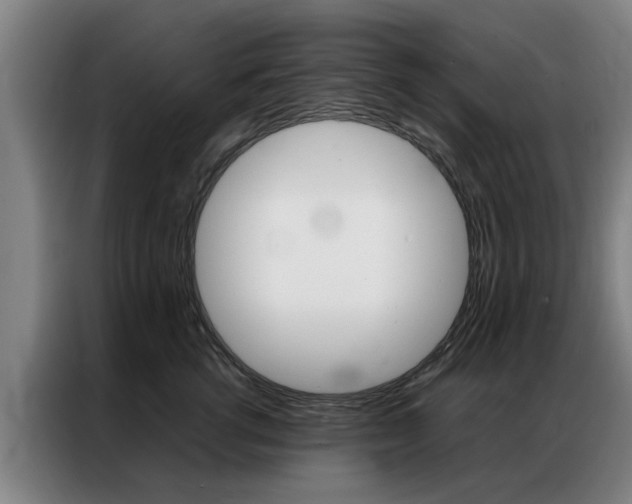 X0000087310762200704200718