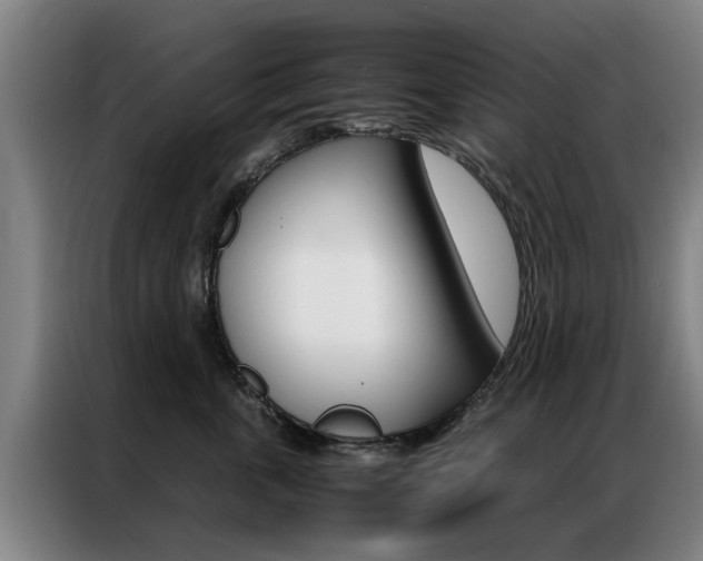 X0000087310763200704200718