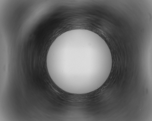 X0000087310764200704200718