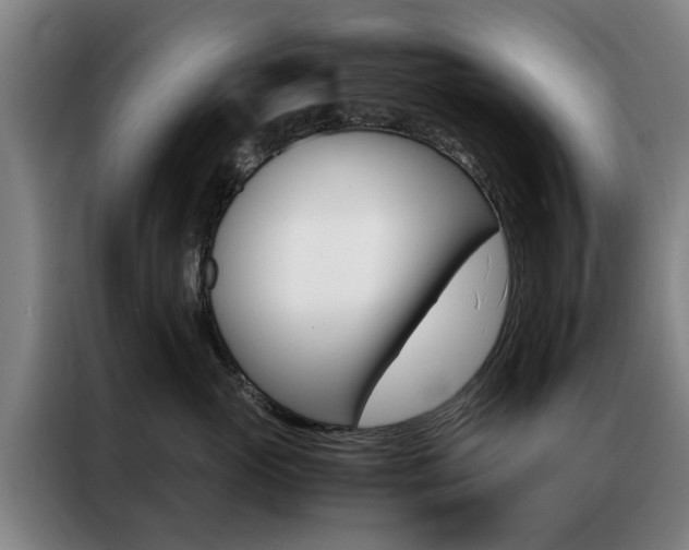 X0000087310765200704200718