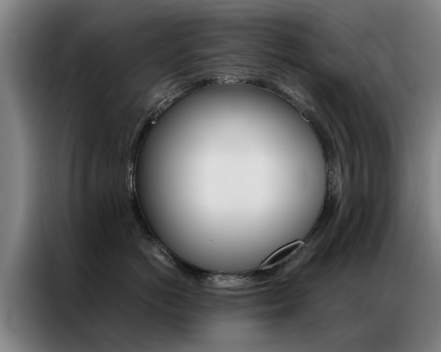 X0000087310766200704200718