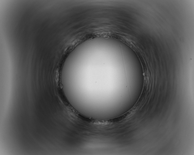 X0000087310767200704200718