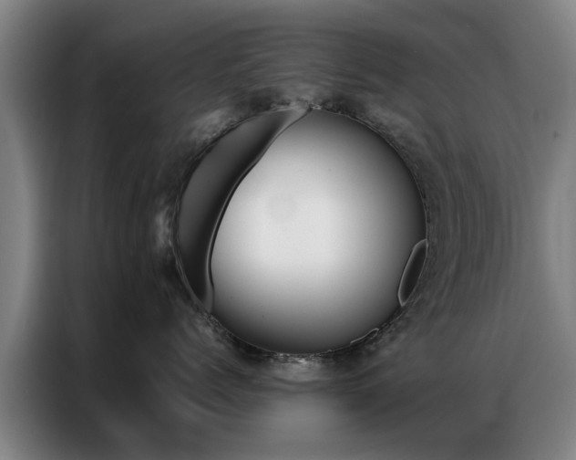 X0000087310768200704200718