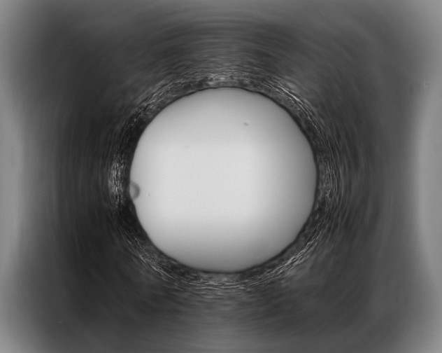 X0000087310770200704200717