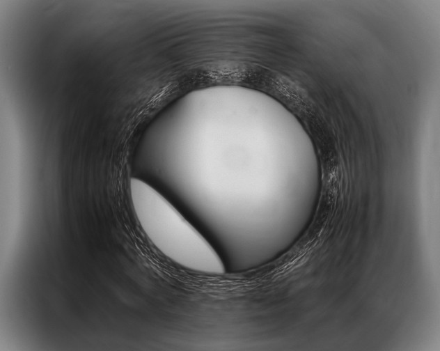 X0000087310772200704200717