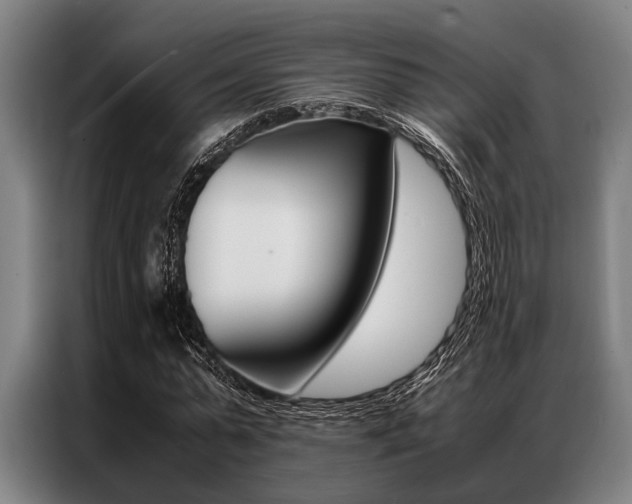 X0000087310775200704200717