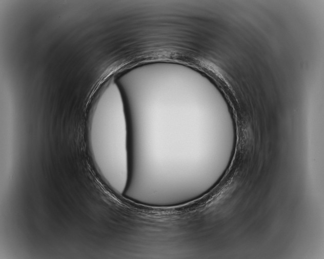 X0000087310778200704200717