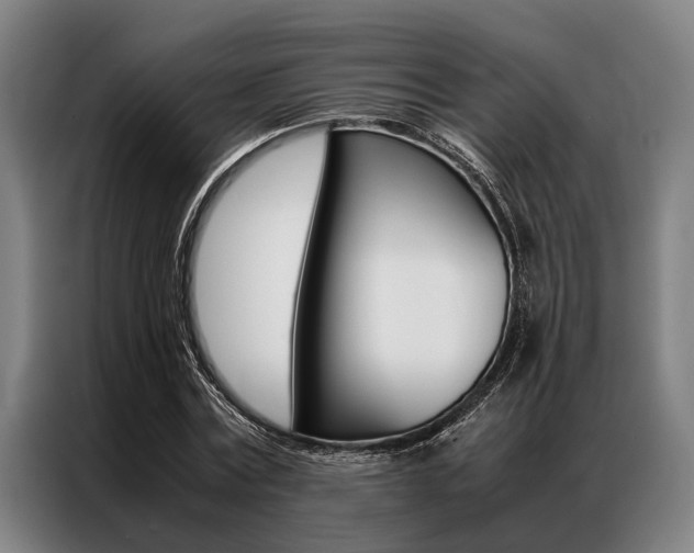 X0000087310779200704200717