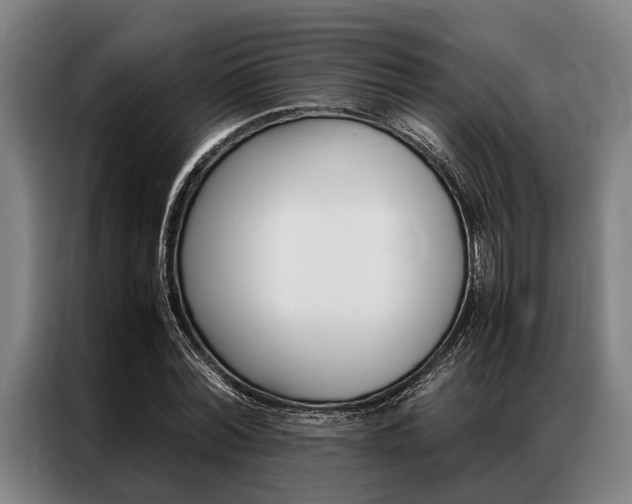 X0000087310780200704200717