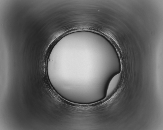X0000087310781200704200717