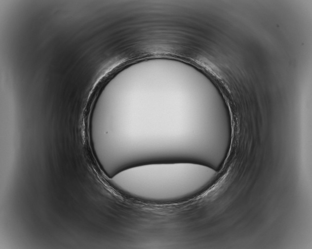 X0000087310782200704200717