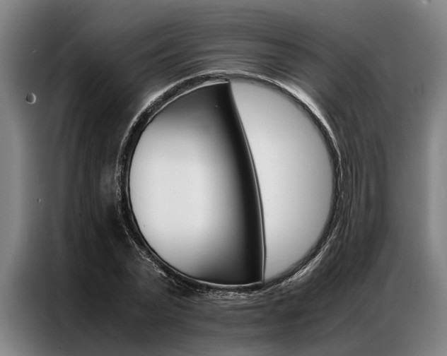 X0000087310783200704200717