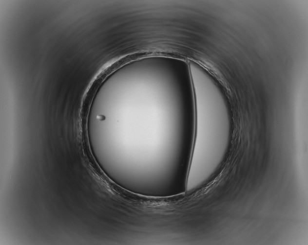 X0000087310784200704200717