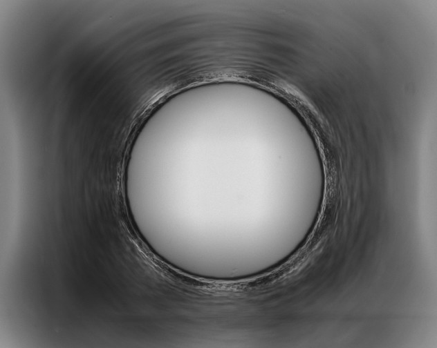 X0000087310785200704200717