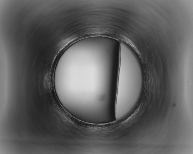 X0000087310786200704200717
