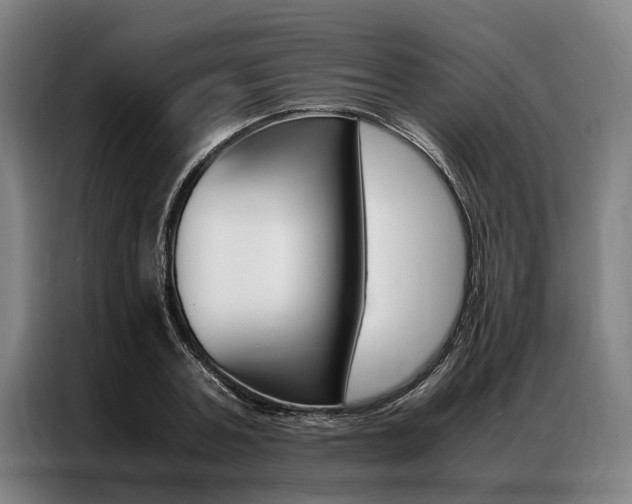 X0000087310787200704200717
