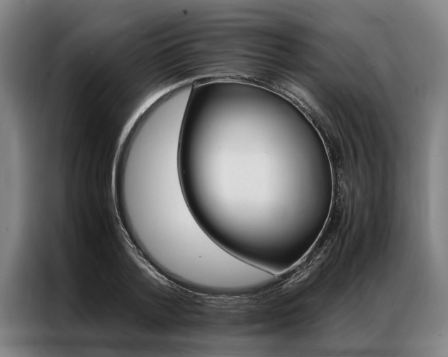 X0000087310788200704200717