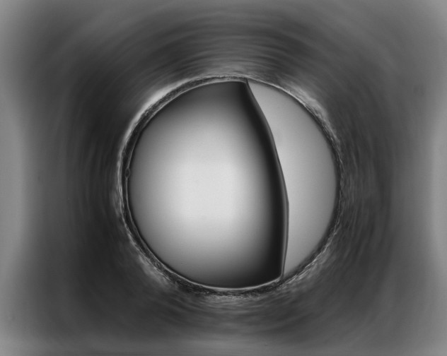 X0000087310792200704200717
