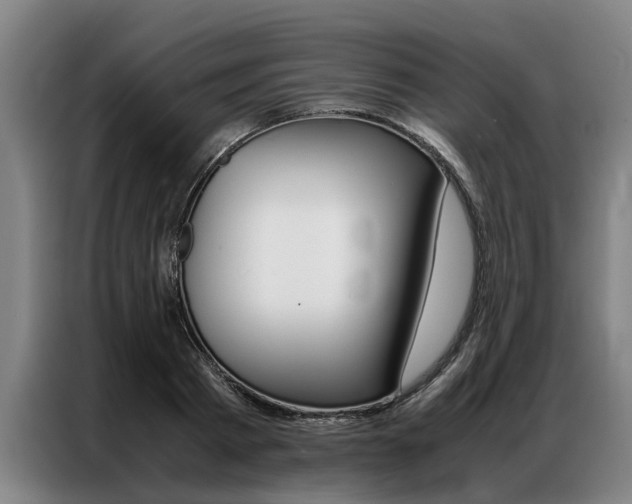 X0000087310793200704200717