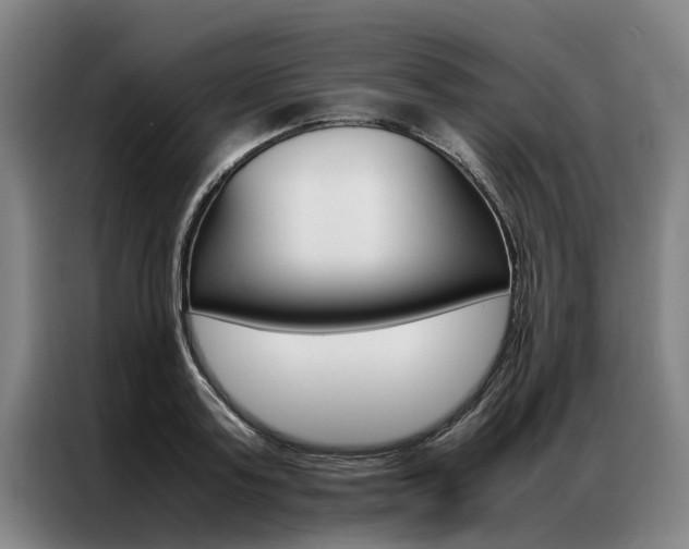 X0000087310795200704200717