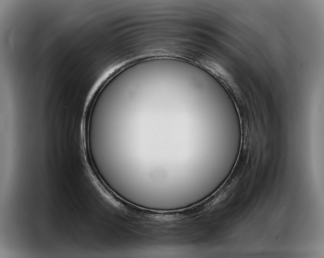 X0000087310796200704200717