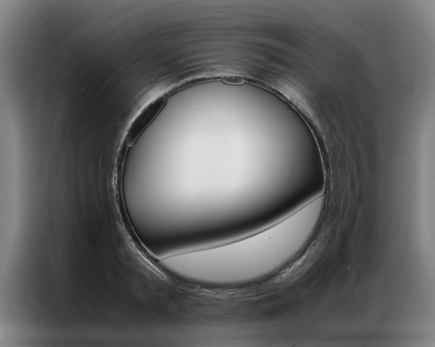 X0000087310797200704200717