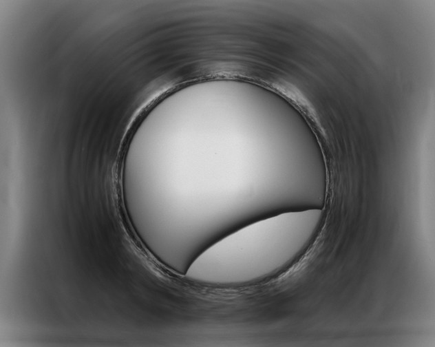 X0000087310798200704200717