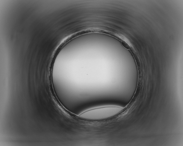 X0000087310799200704200717