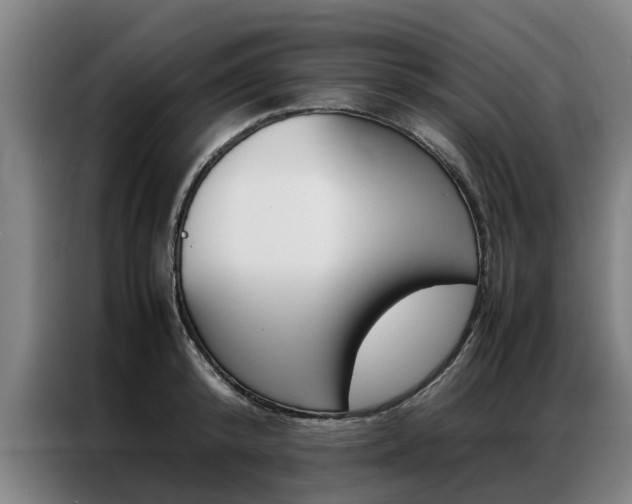 X0000087310800200704200717
