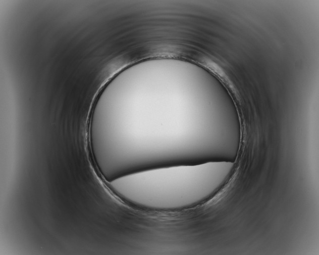 X0000087310802200704200717