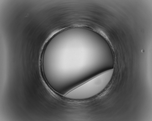 X0000087310803200704200717