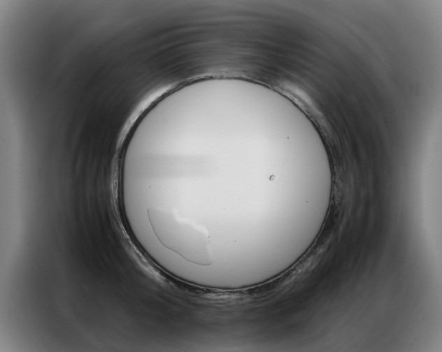 X0000087310804200704200717