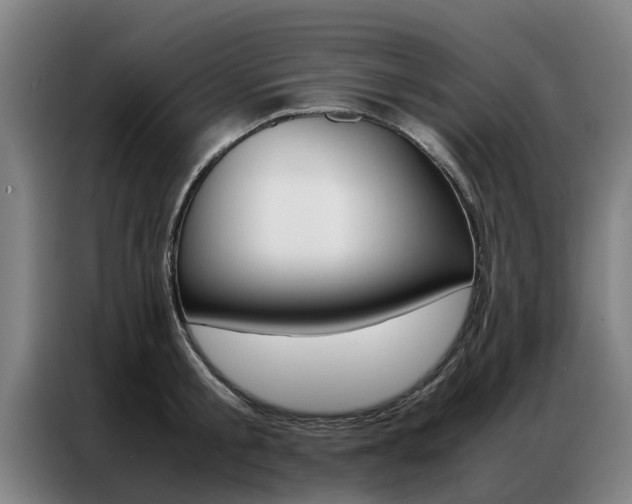 X0000087310805200704200717