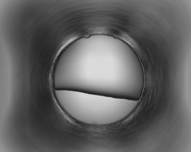 X0000087310806200704200717