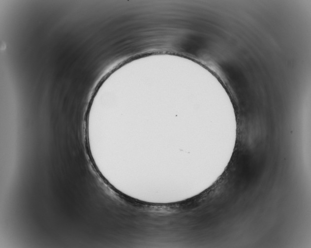 X0000087310807200704200717