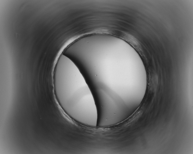 X0000087310808200704200717