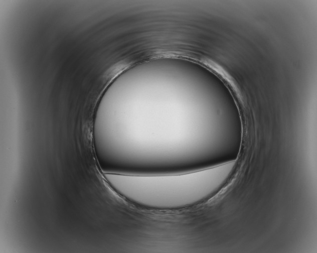 X0000087310809200704200717