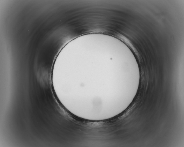 X0000087310810200704200717