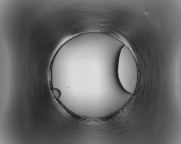 X0000087310811200704200717