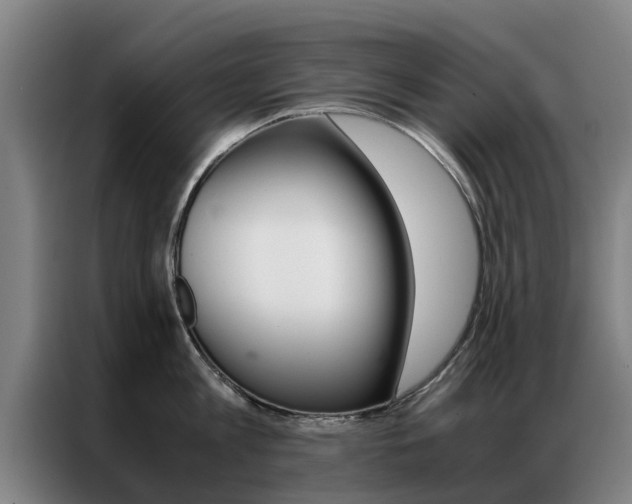 X0000087310813200704200717