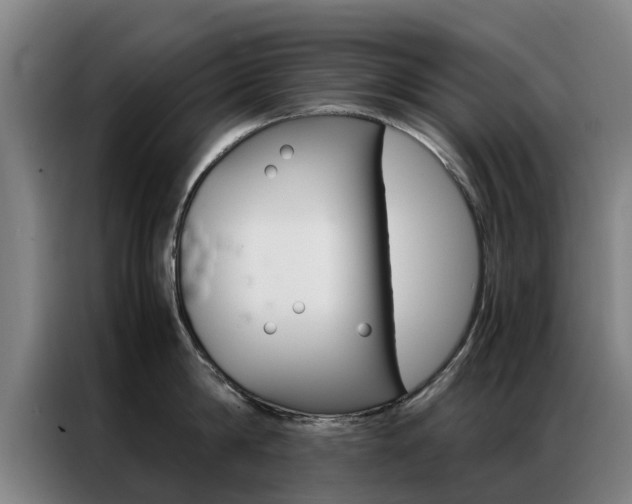 X0000087310814200704200716