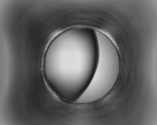 X0000087310815200704200716
